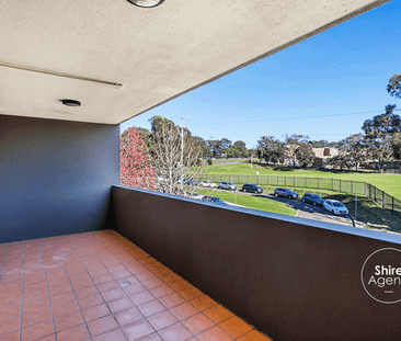 Bigger & Better! - Photo 5