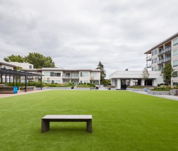 1008 Pandora Avenue, Victoria - Photo 2