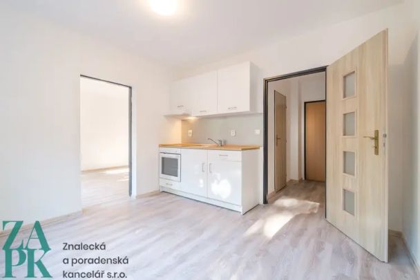 Pronájem bytu 2+kk, Střekov, Ústí nad Labem - Photo 1