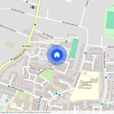 Montfort Drive, Chelmsford, CM2