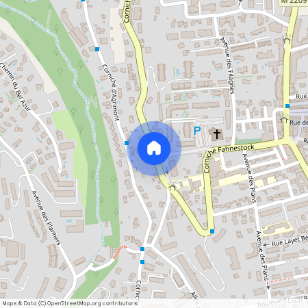 ST LAURENT DU VAR (06700)