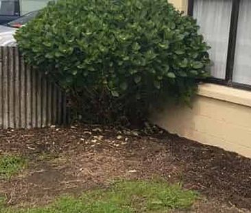 2 bedroom flat - Photo 5