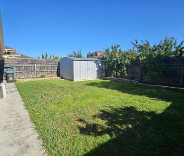 Perfect Starter - Photo 5