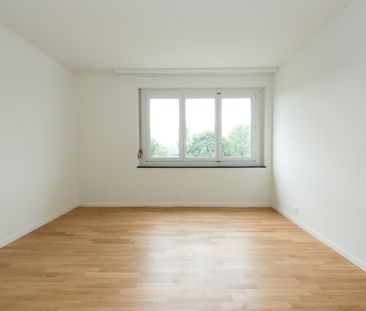 Moderne und helle Wohnung in Regensdorf mit toller Aussicht - Foto 3