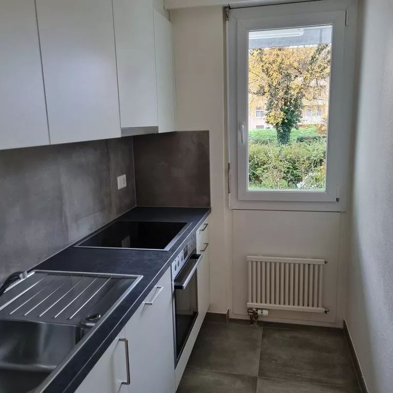 Sympatique 2 pièces rénové avec goût et terrasse privative - Photo 1