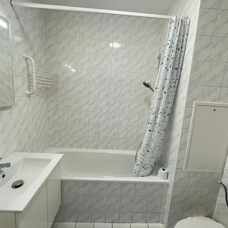 Location Appartement 1 pièce 29m² - Photo 4