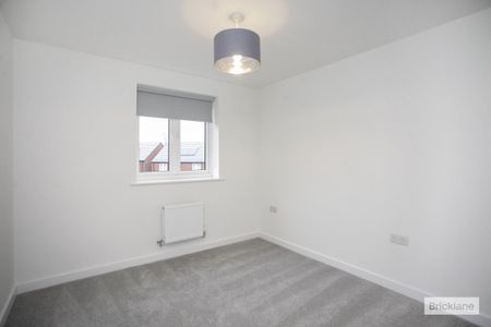 Storer Road - Photo 4