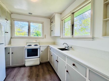 12 Lothian Street, Ilam - Photo 3