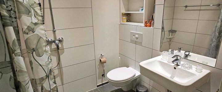 1-Zimmer-Wohnung in Potsdam Nord zur befristeten Untermiete - Foto 1