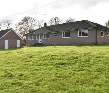 Chapel Lane, Mannington, Wimborne, Dorset, BH21 - Photo 4