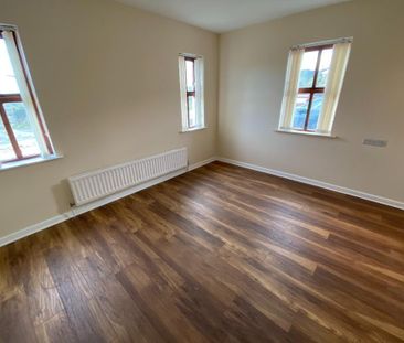 38 Magheralone Road, Ballynahinch, BT24 8ND - Photo 3