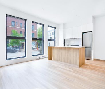 Studio -2.5 - 3844 St Jacques, Saint-Laurent Montreal - Photo 3