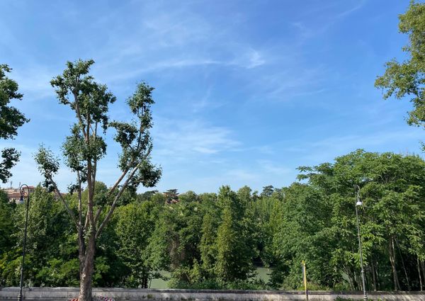 Appartamento luminoso – Prati Delle Vittorie, Lungotevere della VITTORIA – 01AF6374