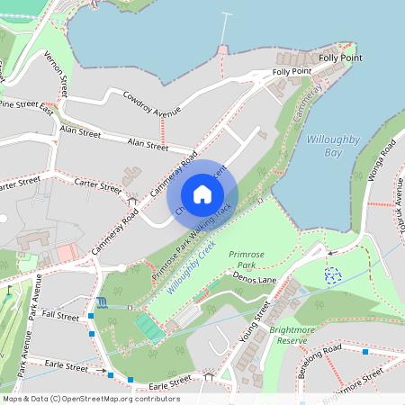 21 Churchill Crs, NSW 2062, Cammeray