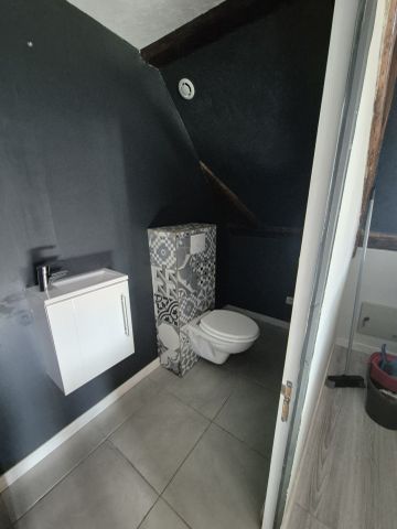 location Appartement 2 pièces à Ribeauville - REF 368-26 RISLENE SALOMON - Photo 5