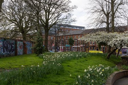 8 Cheltenham Park, Rosetta, - Photo 4