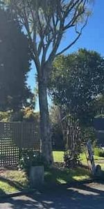 AVAILABLE NOW - 1 Large Studio Unit including power and internet - Photo 4