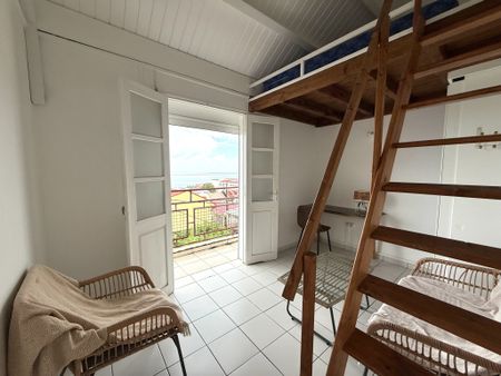 Location Appartement 3 pièces 50m² BASSE TERRE 97100 - Photo 5