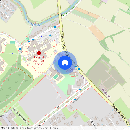 Route de Mon-Idée 63, 1226 Thônex