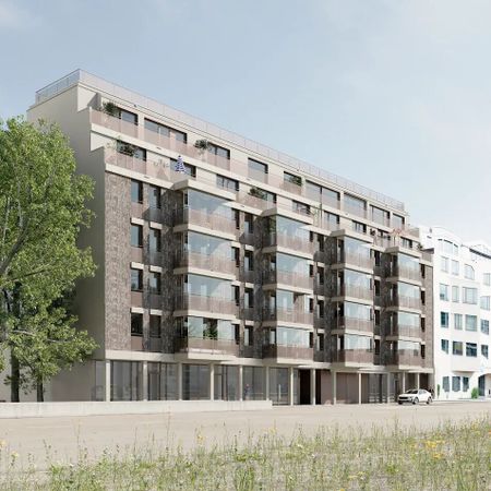 Modern 3.5-room attic apartment in Basel - Foto 4