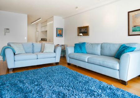 Spacious 2 bedroom apartment with views over Wellington's Waitangi Park and Oriental Parade - Photo 4