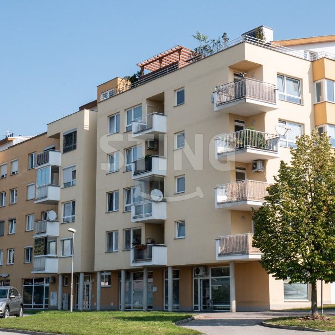 Byt 3+kk k pronájmu, Brno - Fotografie 1