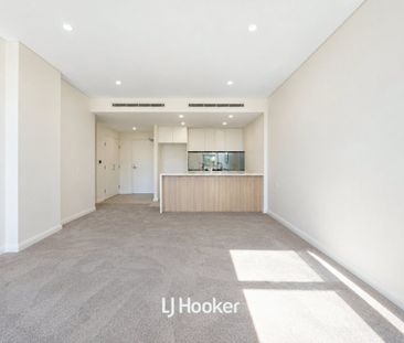 Modern Apartment Living in the Heart of Gordon - Photo 2