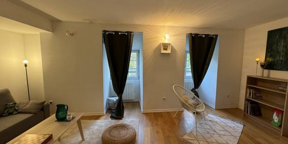 À LOUER ! Agréable appartement meublé de 2 pièces en duplex, cuisine neuve, idéalement situé au cœur de la Petite France. - Photo 3