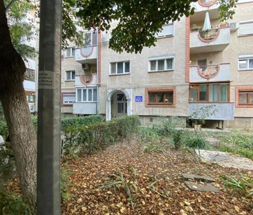 Apartament 2 camere decomandat zona PodgoriaMalul Muresului - Fotografie 5