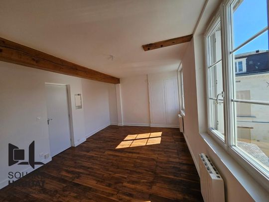Location Appartement 1 pièce 24m² TOURS 37000 - Photo 1