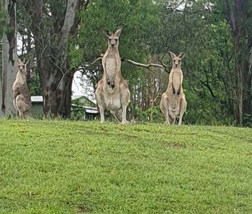 Park Ridge - Photo 5