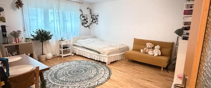 Nachmieter gesucht 1-RaumWohnung mit Einbauküche und Abstellraum - Foto 1