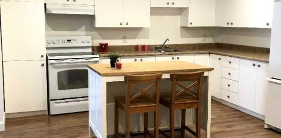 GRAND 5 PIÈCES SEMI MEUBLÉ REFAIT À NEUF AVEC COUR INTÉRIEURE (cession de bail) - Photo 2