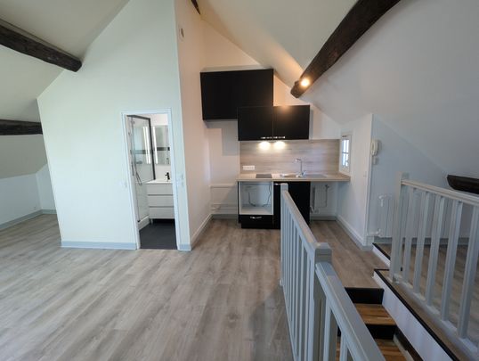 Location Appartement 1 pièce 22m² FONTAINEBLEAU 77300 - Photo 1