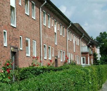 Quittenstr. 21, 24149 Kiel OT Neumühlen-Dietrichsdorf - Photo 6