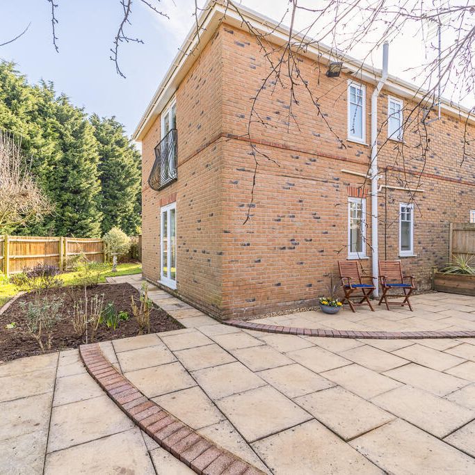 Tulip Fields - Photo 1