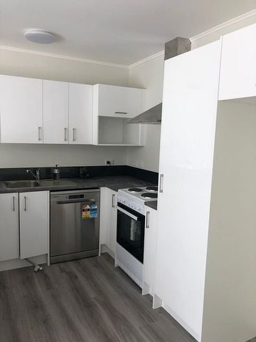 Sunny 2 bdr bottom flat close to Hataitai Village - Photo 3