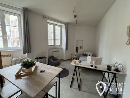 Location Appartement 2 pièces 30m² SELESTAT 67600 - Photo 4