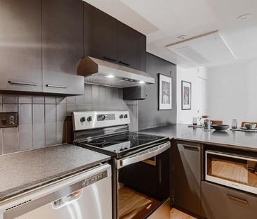 3 ½ entièrement meublé à louer Saint-Jean-Baptiste janvier 2026 - Photo 3