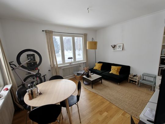 Östra Kyrkogatan, Umeå - Photo 1