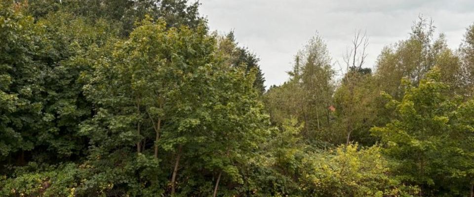 2-Zimmer-Wohnung bei Teltow - Befristete Vermietung für 12 Monate - Photo 1