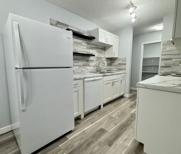 Modern and Spacious 2-Bedroom Apartment - SMALL PET FRIENDLY! - Photo 6