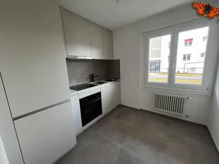 2 Zimmer, EG - Photo 4