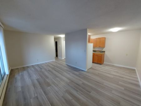 1 Bedroom Unit in Mature Area of Downtown! - Photo 4