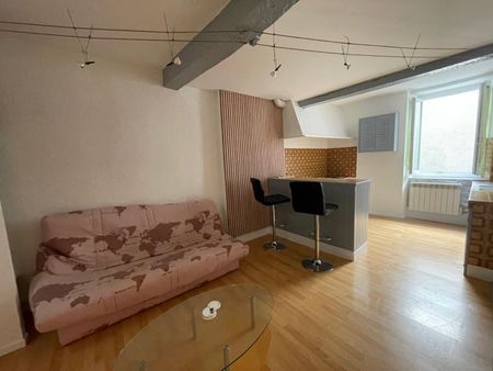 Location Appartement 1 pièce 24m² MONTREJEAU 31210 - Photo 4