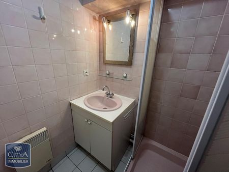 Location Appartement 1 pièce 22m² TOURS 37000 - Photo 4