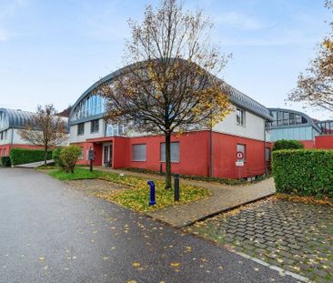 Lichtdurchflutete 3.5 Zimmerwohnung in Sissach - Photo 4