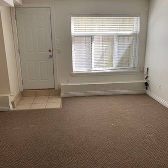 2 bedroom 1 bath bsmt suite in Tynehead Surrey for $1800 - Photo 1