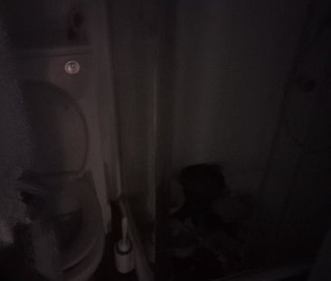 Room in a Shared Flat, Barnabas Road, E9 - Photo 5