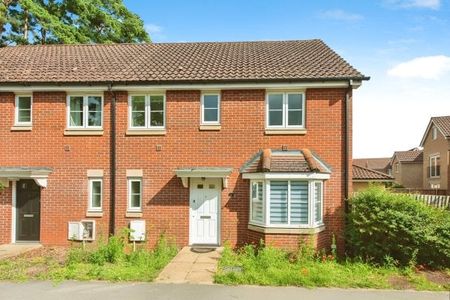 Heathland Way, Mildenhall - Photo 5